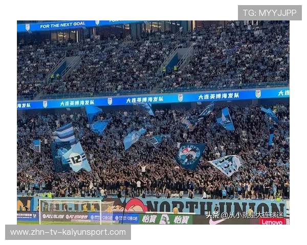 球迷热情支持，场上气氛火爆！，球迷们正在为队员们加油鼓劲