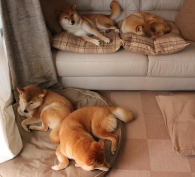 中国足球联赛裁判判罚数据梳理，中国足球裁判判刑