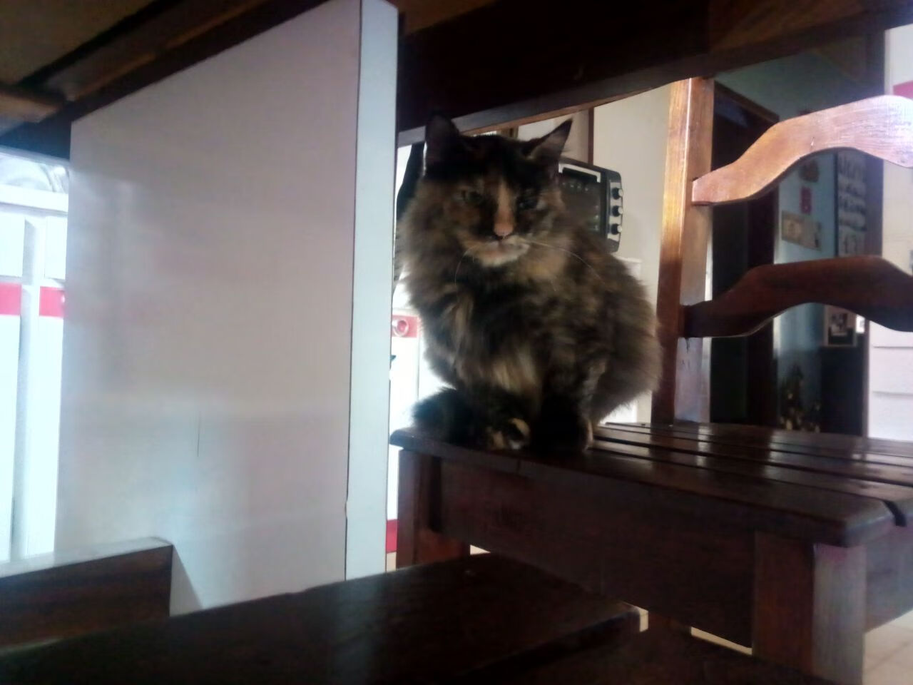 中小学体育课程内容标准化研究，中小学体育课程设计