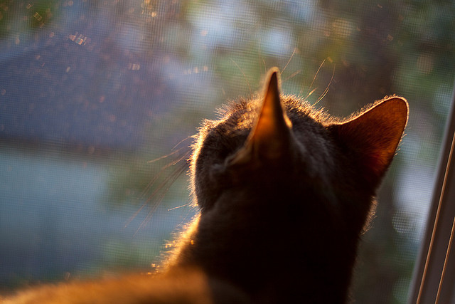 东亚杯中国足球平局 球员需要提升临场应变能力,东亚杯国足成绩