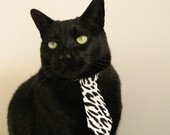 男子接力德国团体协作渐成体系，德国男子乒乓球团体赛