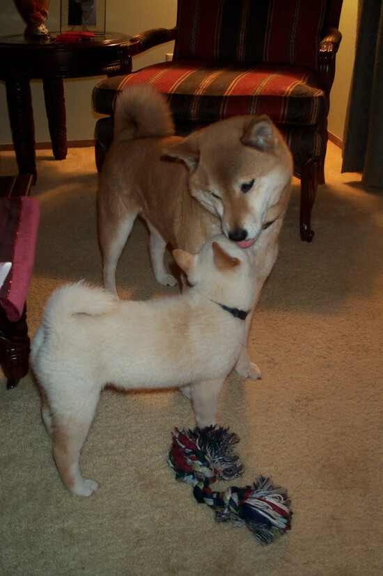 开云体育app下载-赫罗纳阵地控制升级耐心挖掘机会，赫罗纳古城