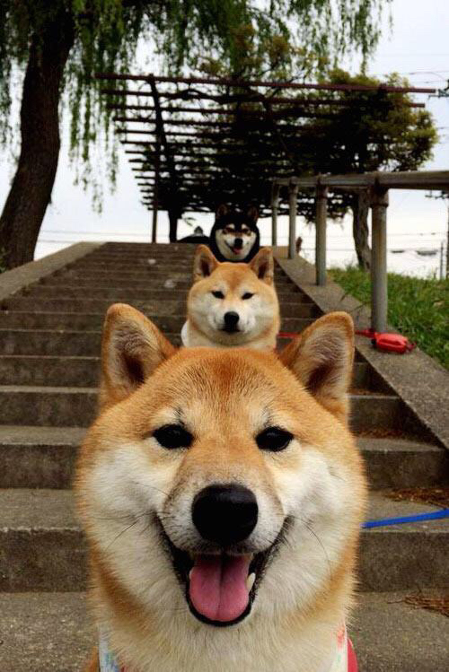 开云体育入口-博茨瓦纳男篮在非洲预赛中奋勇拼搏，期待新突破