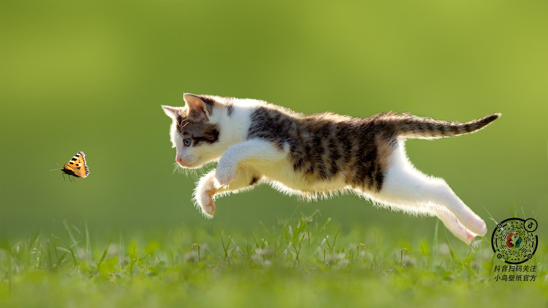 意甲激情攻势:贴地飞行的完美瞬间,意甲贴吧