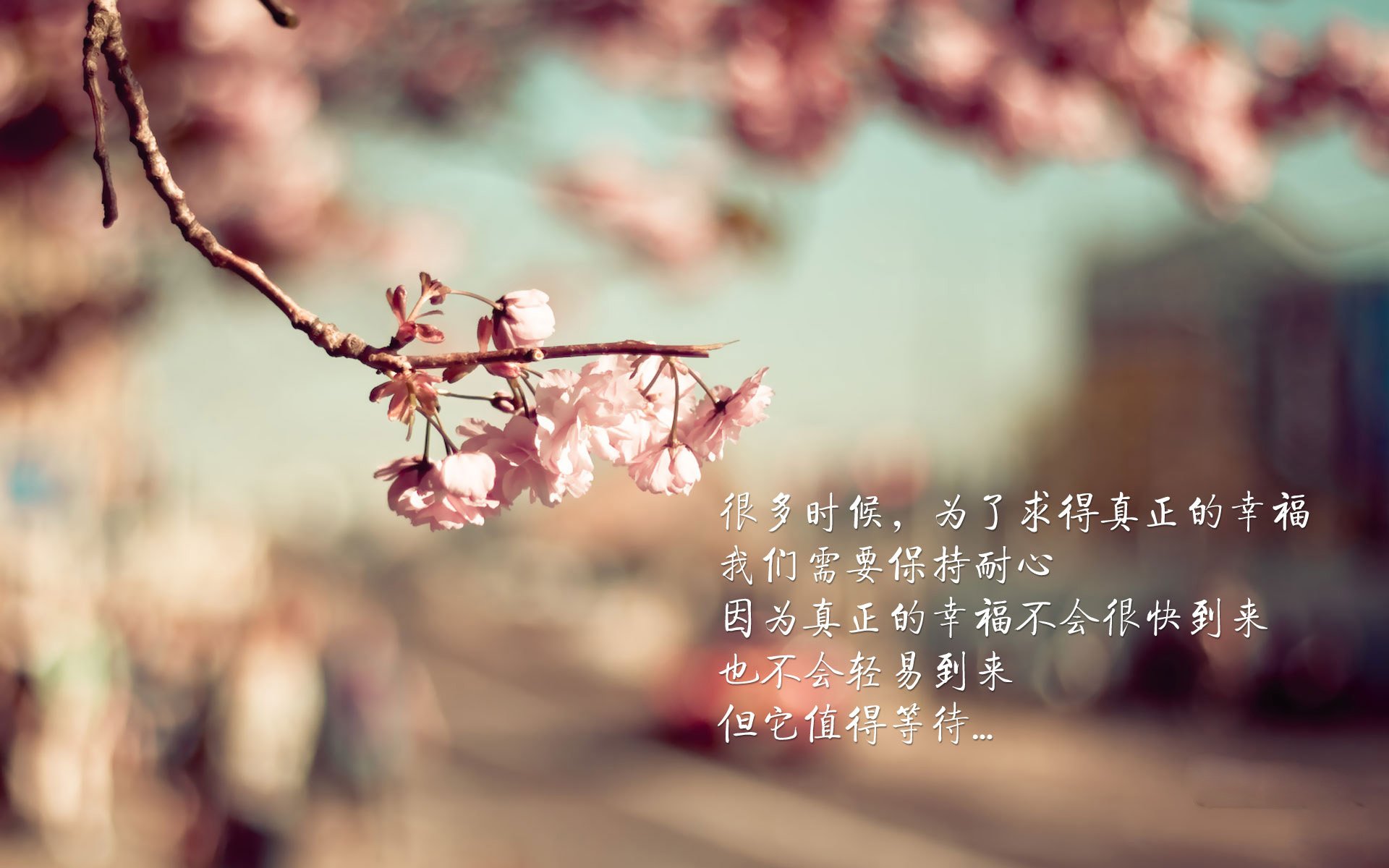 开云体育在线入口-法甲年轻力量：新星崛起，未来掌控！，法甲最年轻进球