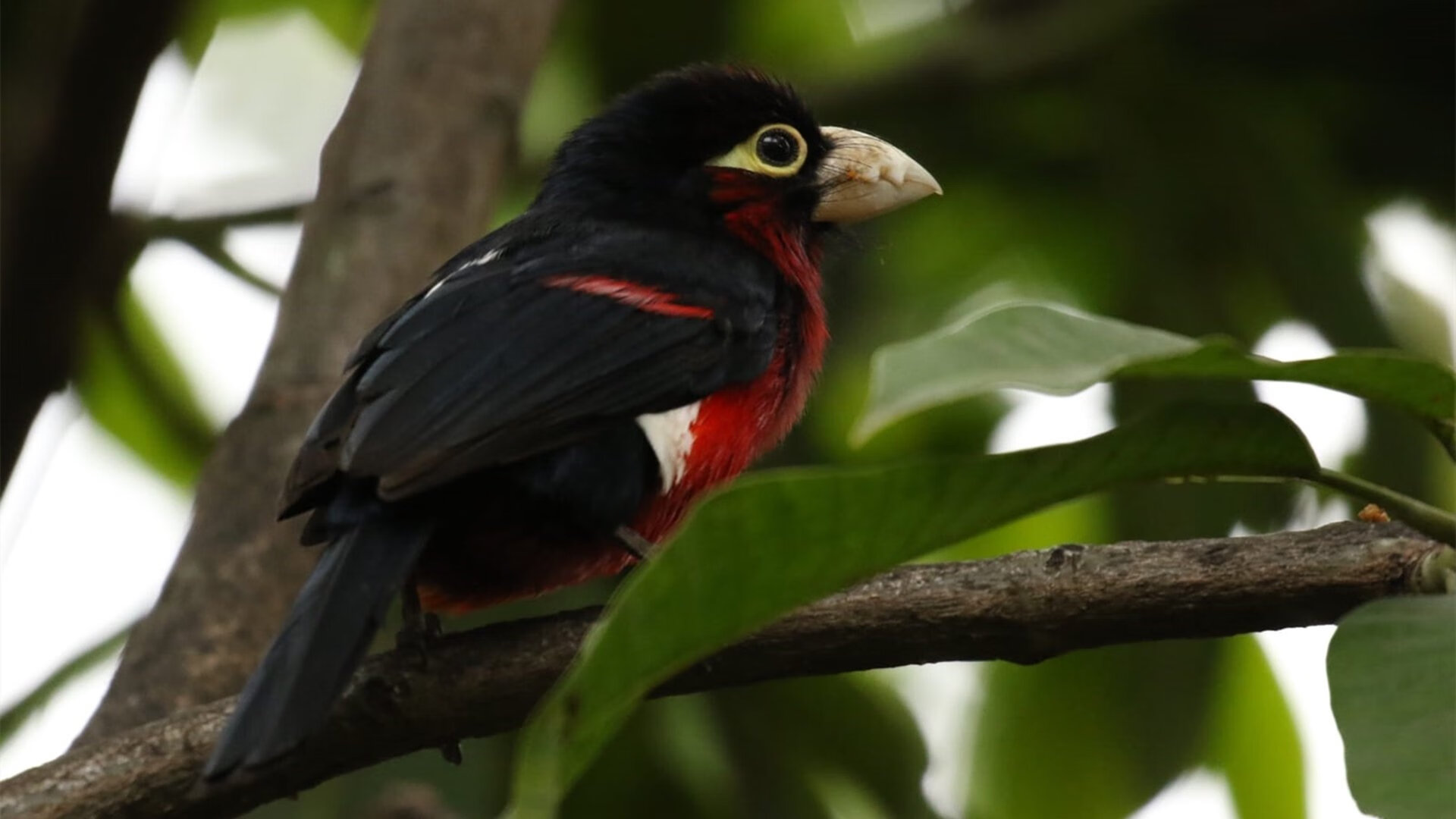 kaiyun开云体育-英超争夺激烈，各豪门争分夺秒