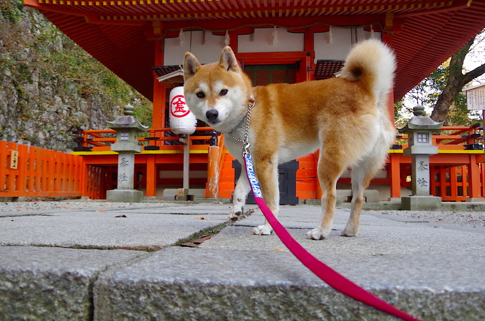 开云体育官网在线-中国足球联赛加强观众服务和互动体验，足球观众席图片