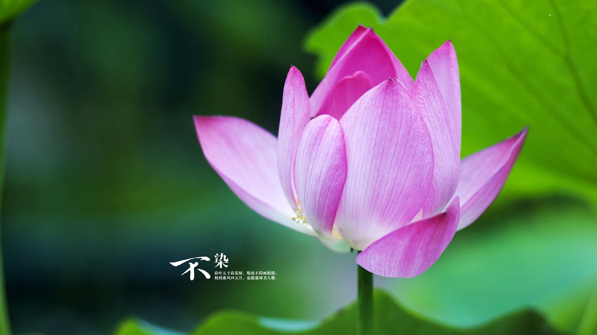 kaiyun开云体育-从潜力股到核心力量，赵继伟的进化路径，赵继伟是干什么的