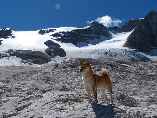 从潜力股到核心力量，赵继伟的进化路径，赵继伟是干什么的