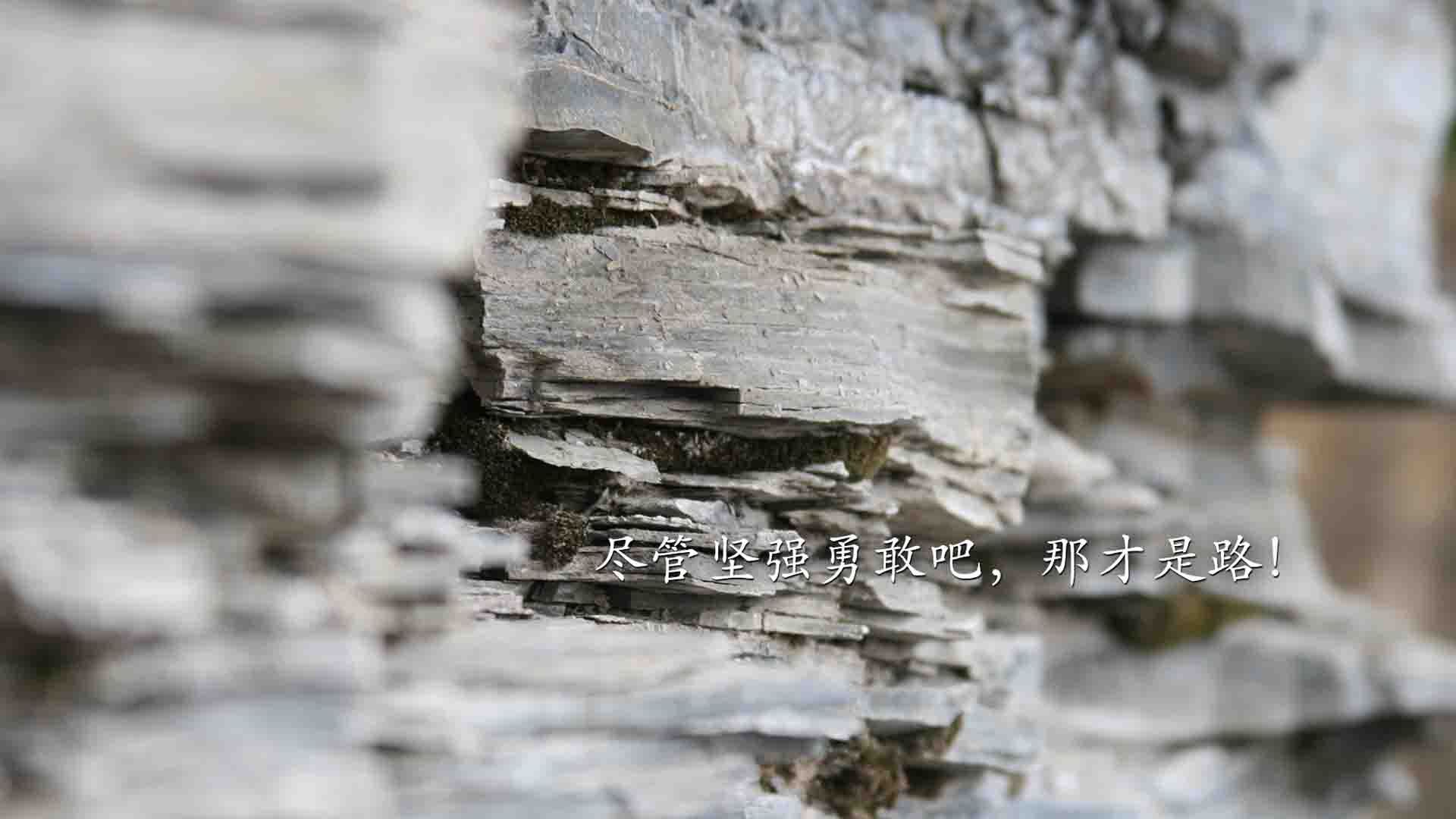 体育新闻中心引导公众关注运动健康趋势，打开体育新闻