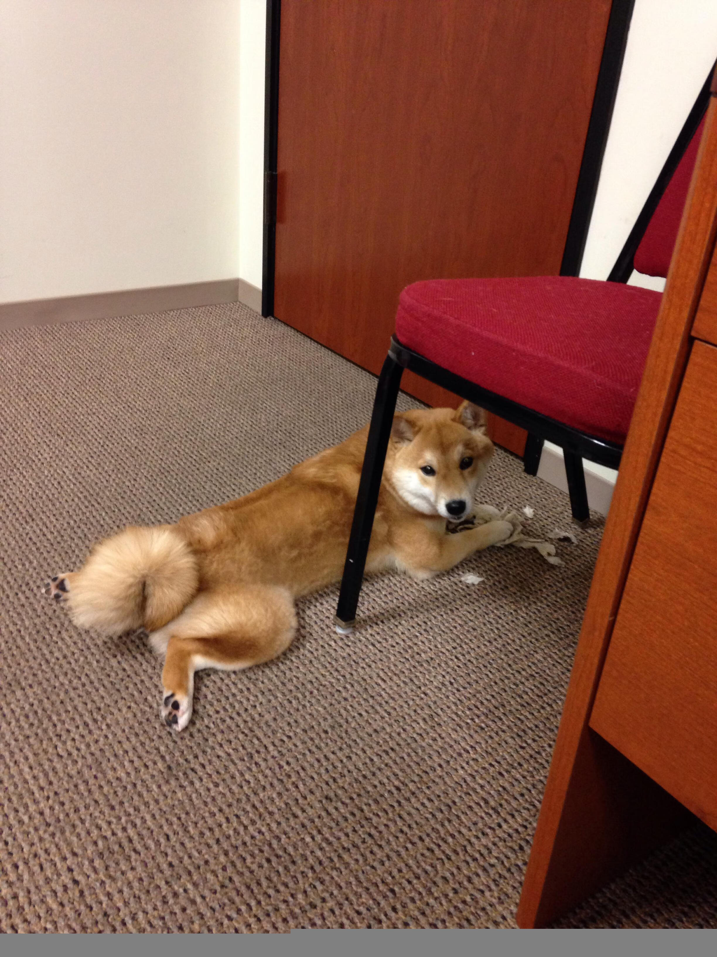 kaiyun开云体育-区域赛事与文旅活动融合增强城市吸引力，区域性文化创意中心